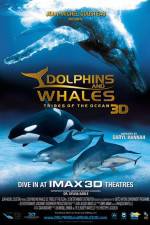 Watch Dolphins and Whales 3D Tribes of the Ocean 123MoviesFree