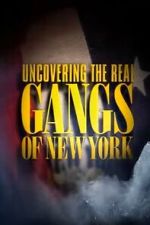 Watch Uncovering the Real Gangs of New York 123moviesfree