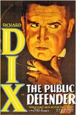 Watch The Public Defender 123MoviesFree