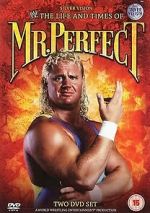 Watch The Life and Times of Mr. Perfect 123MovieFree