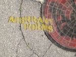 Watch Aberrant Forms: A Jurassic Short 123MovieFree