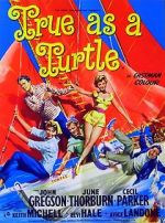Watch True as a Turtle 123MovieFree