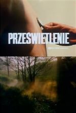 Watch Przeswietlenie 123MovieFree