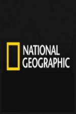 Watch National Geographic Wild Blood Ivory Smugglers 123MoviesFree