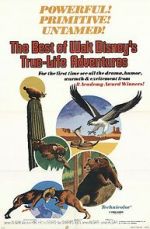 Watch The Best of Walt Disney\'s True-Life Adventures 123MoviesFree