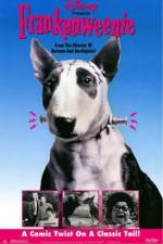 Watch Frankenweenie 123MovieFree