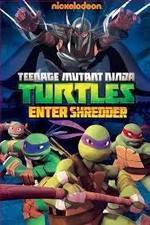 Watch Teenage Mutant Ninja Turtles: Enter Shredder 123MovieFree