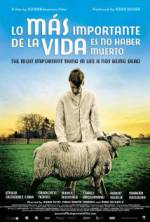 Watch The Most Important Thing in Life Is Not Being Dead 123MovieFree