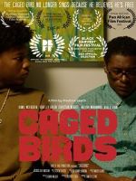 Watch Caged Birds 123moviesfree