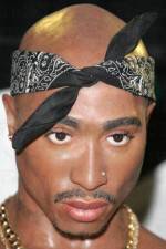 Watch Tupac Is Not Dead 123MovieFree