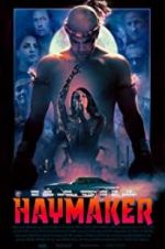 Watch Haymaker 123MovieFree