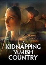 Watch A Kidnapping in Amish Country 123moviesfree