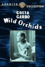 Watch Wild Orchids 123MovieFree