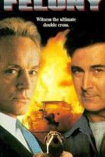 Watch Felony 123MovieFree
