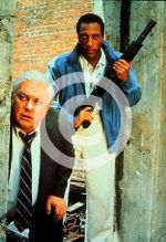 Watch Case Closed 123MovieFree
