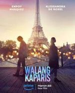 Watch Nothing Like Paris 123MovieFree