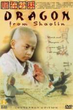 Watch Long zai Shaolin 123MovieFree