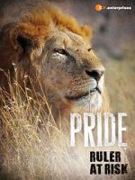 Watch Pride - Ruler\'s at Risk 123moviesfree