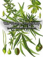Watch The Hemp Conspiracy: The Most Powerful Plant in the World (Short 2017) 123MovieFree