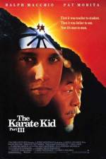 Watch The Karate Kid, Part III 123MovieFree