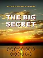 Watch The Big Secret 123moviesfree