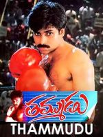 Watch Thammudu 123MovieFree