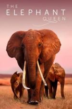 Watch The Elephant Queen 123MoviesFree
