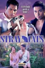 Watch Stray Cats 123MovieFree