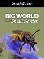 Watch Big World in a Small Garden (TV Short 2016) 123MovieFree