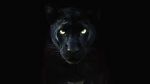Watch The Real Black Panther (Short 2020) 123MovieFree