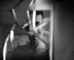 Watch Remember Me, My Ghost (Short 2011) 123moviesfree
