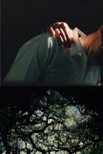 Watch The Hedge Theater 123MovieFree