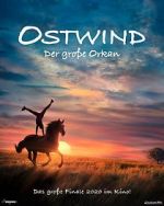 Watch Windstorm: The Great Hurricane 123MoviesFree
