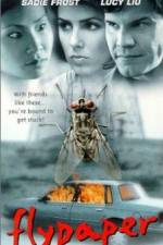 Watch Flypaper 123MovieFree