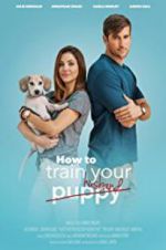 Watch How to Train Your Husband or (How to Pick Your Second Husband First) 123MovieFree