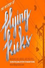 Watch The Mystery of Flying Kicks 123MovieFree
