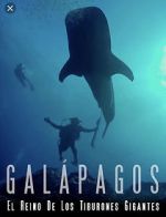 Watch Galapagos: Realm of Giant Sharks 123moviesfree