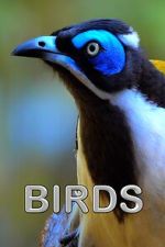 Watch Birds (Short 2021) 123MovieFree