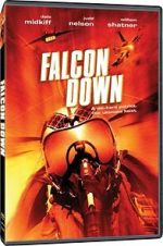 Watch Falcon Down 123MovieFree