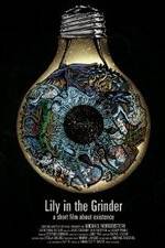 Watch Lily in the Grinder 123MovieFree