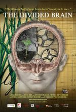 Watch The Divided Brain 123moviesfree