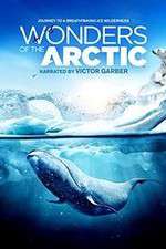 Watch Wonders of the Arctic 3D 123MovieFree