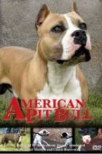 Watch American Pit Bull 123MovieFree