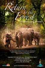 Watch Return to the Forest 123MovieFree