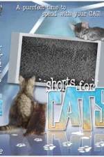 Watch Shorts for Cats 123MovieFree