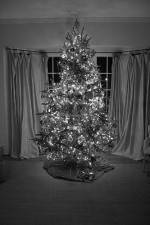 Watch The Christmas Miracle 123MovieFree