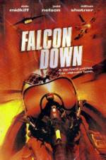 Watch Falcon Down 123MovieFree