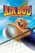 Watch Air Bud: Spikes Back 123MovieFree
