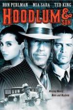 Watch Hoodlum &amp; Son 123MoviesFree