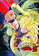 Watch Dragon Ball Z: Wrath of the Dragon 123MoviesFree
